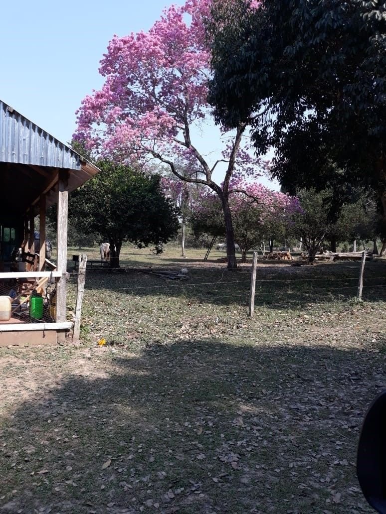Beni area 2