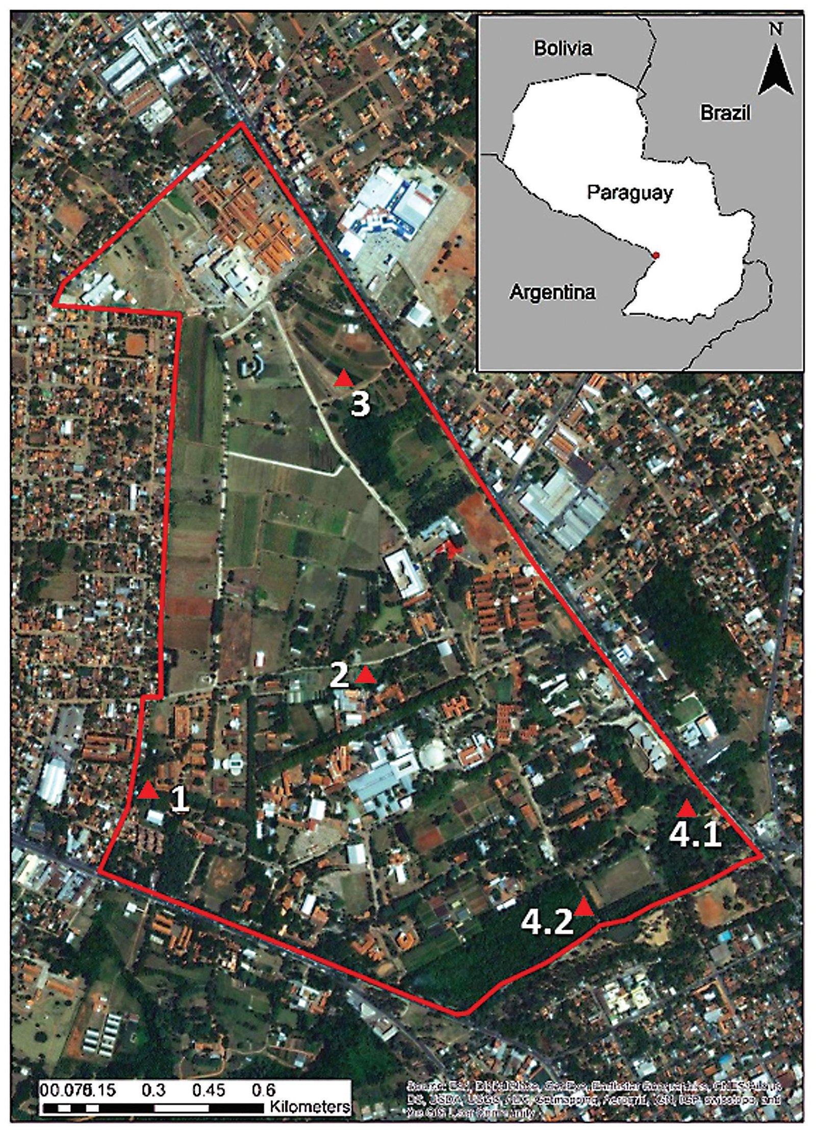 SanLorenzo