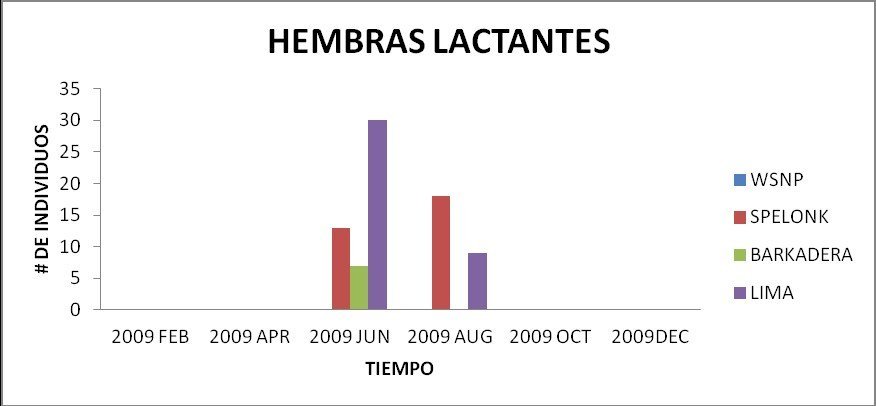 Hembras lactantes