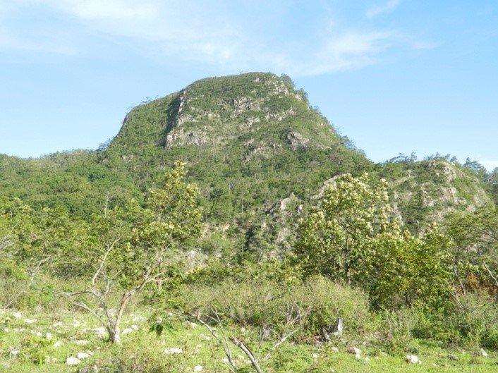 Apaguajíl 3