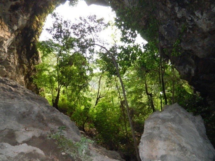 Apaguajíl 4