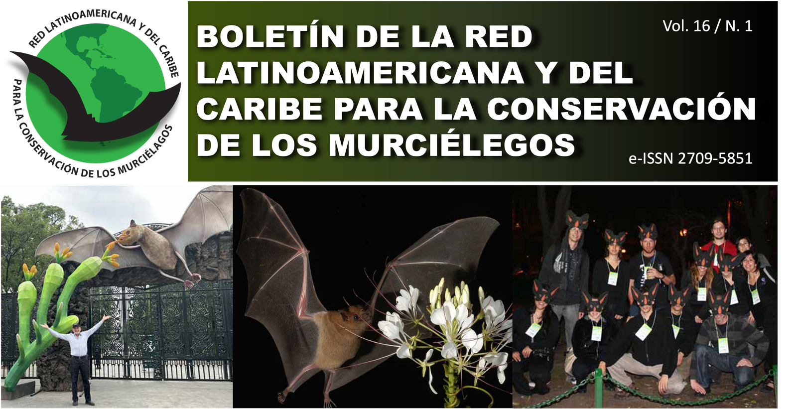 boletin