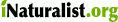 iNaturalist
