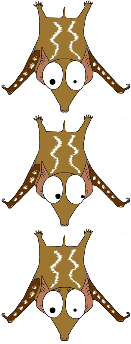 Nasario-PCMH