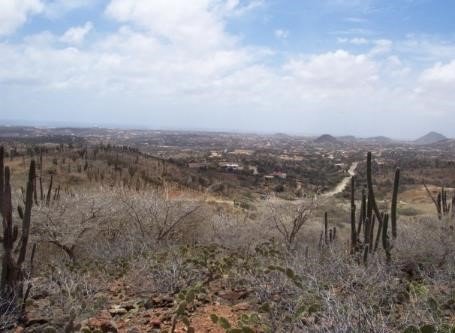 Área con vegetación xerófila no protegida y desarrollo urbano en la isla de
