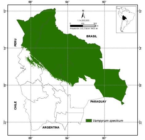 Espiritu 4
