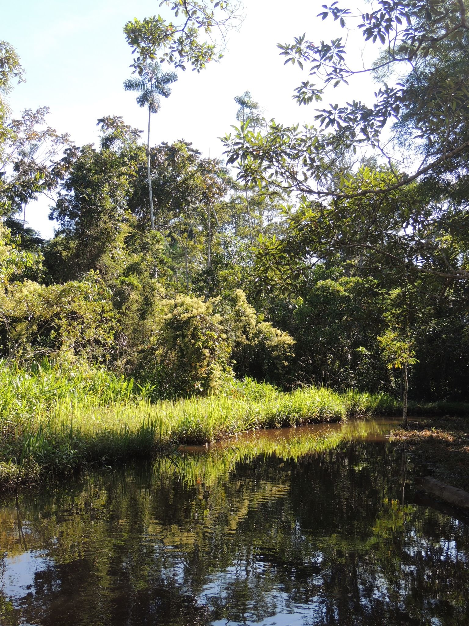 Tahuamanu area 2