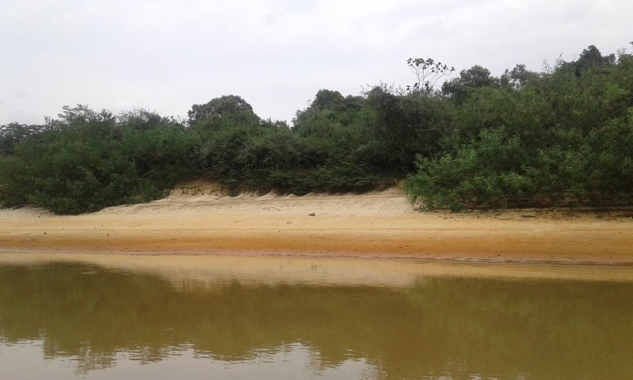 Tahuamanu area 3