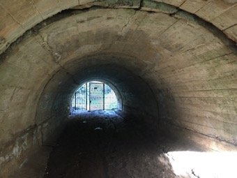 Detalle del túnel se observan las grietas donde se refugian los murciélagos