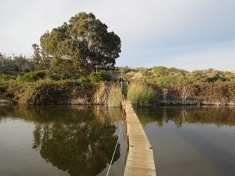 Puente que cruza el cuerpo de agua donde
