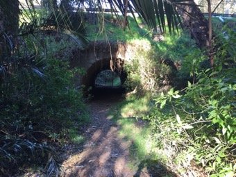 Túnel de paso