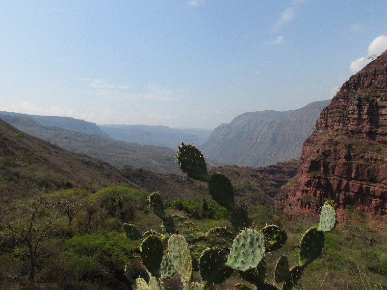 Vista general del AICOM Cañón de las Iguanas