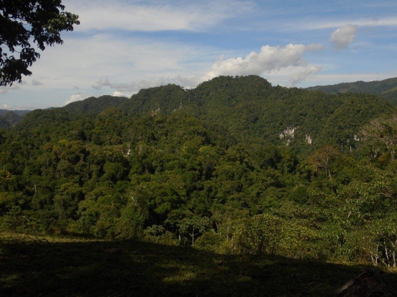 Geomorfología y cobertura vegetal del AICOM vereda La Hermosa municipio de Sonsón