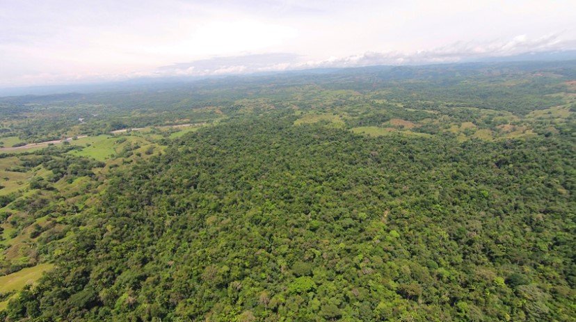 Panorámica del occidente de la RN Riomanso