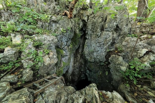 Entrada de la cueva Terciopelo en el Parque Nacional Barra Honda