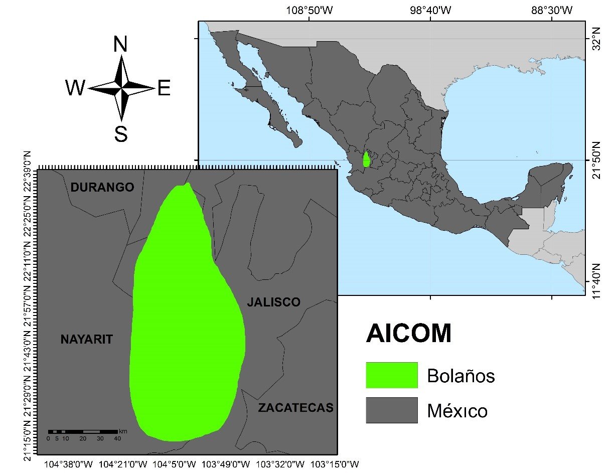 Mapa Bolaños
