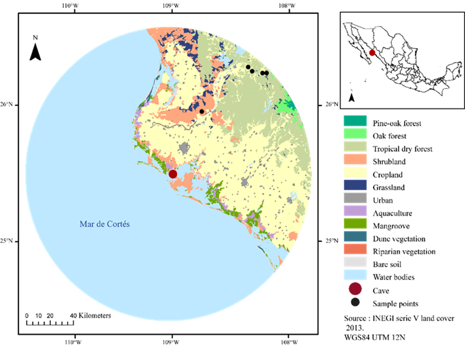 S MX 013 Maviri mapa