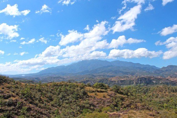 Vista panorámica del bosque seco Cacique Lempira 3