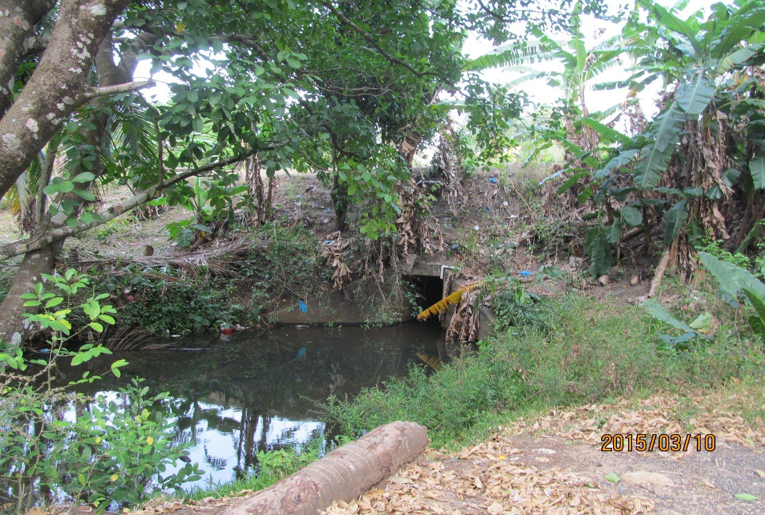 Río Chilibrillo Cueva Chilibre Panamá 2