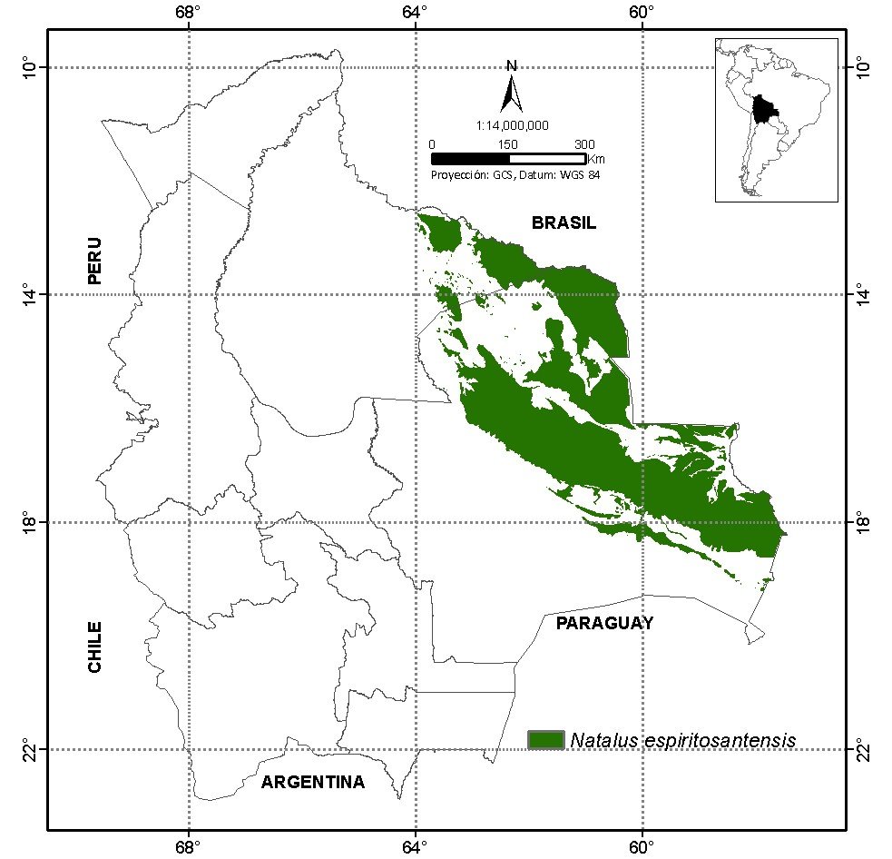 Tucabaca2
