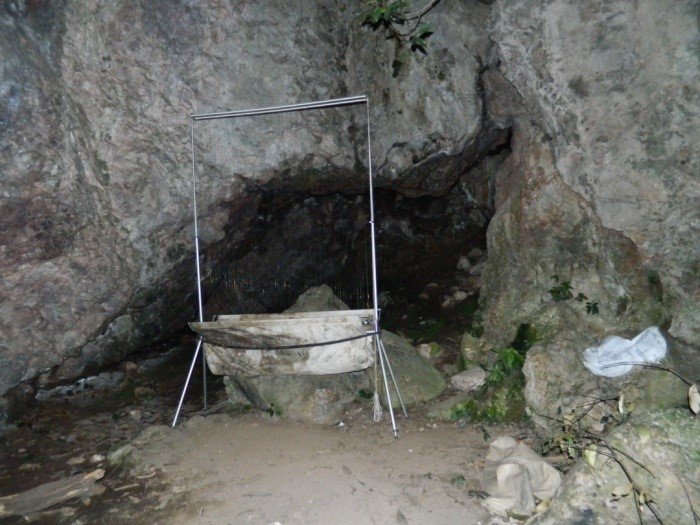 Apaguajíl 8