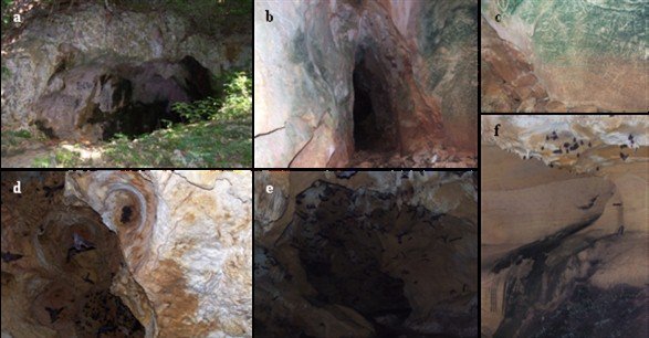 Detalles de la cueva de Chipare edo. Falcón 4.png