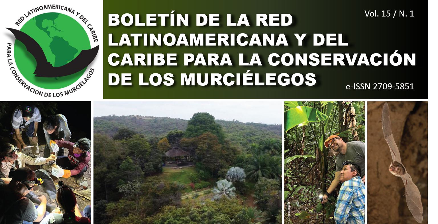 boletin